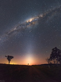  Image of the night sky with the horizon about a quarter of the way up from the bottom of the photo. In silhouette there is a lone tree on the left with fence posts passing into the distance. On the left are two trees. The horizon glows in orange and yellow and is topped by a stary night sky. Stretching across the sky is a cloudy-looking region that shows where we are looking through the plane of the Milky Way galaxy. Rising from the center of the horizon to the Milky Way is a brighter fuzzy line of light, zodiacal light. 